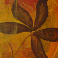 Growth Detail
