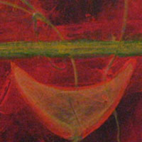 Natura Detail